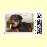 Sphinx stamps