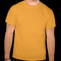 Sphinx t-shirts