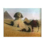 Sphnix and Pyramid Postcard