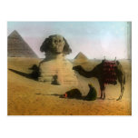 Sphnix and Pyramid Postcard