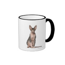 Sphynx (7 months old) sitting mug