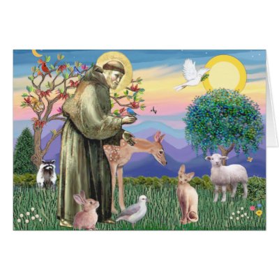 Sphynx Cat - St Francis greeting card