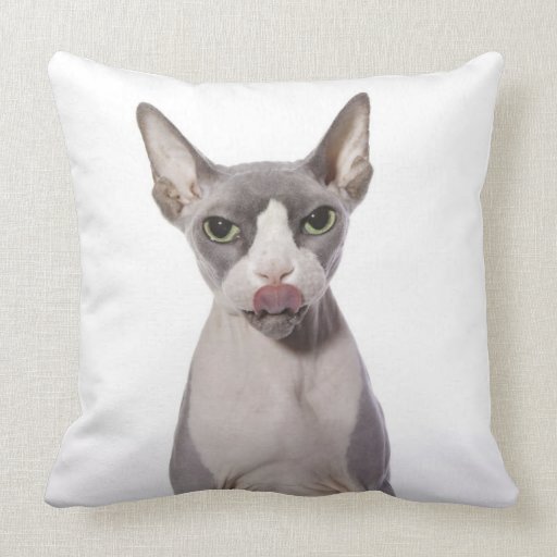 sphynx cat pillow