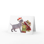 Sphynx Kitten ChristmasCards