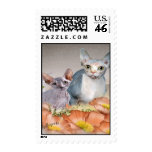 Sphynx kitten Postage Stamps
