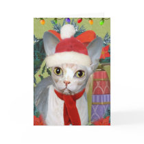sphynx Purrfect Christmas Greeting Cards