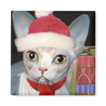 Sphynx Santa Paw gifts magnets