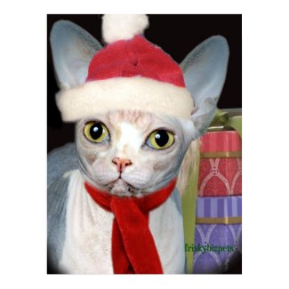 Sphynx Santa Paws print