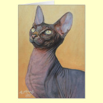 Sphynx Sphinx Cat Cats Electra cards