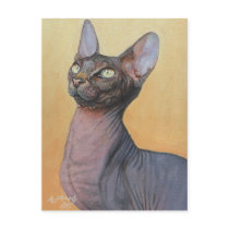 Sphynx Sphinx Cat Cats Electra Post Card