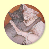 Sphynx Sphinx Cat Cats Nap Time magnets