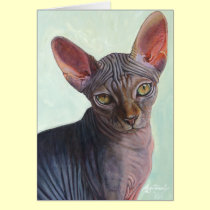Sphynx Sphinx Cat Cats Sunitha cards