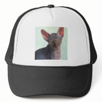 Sphynx Sphinx Cat Cats Sunitha Hats