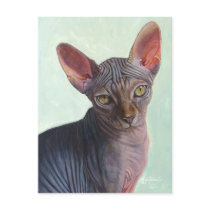 Sphynx Sphinx Cat Cats Sunitha Post Cards