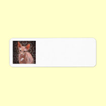 Sphynx Sphinx Cat Jack labels