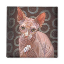 Sphynx Sphinx Cat Jack Fridge Magnets