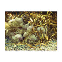 Spice it postcards by Rainmountain Spice it postcards