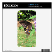 Spicebush butterfly ~ iPhone 4 Skin