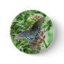 Spicebush Female Button