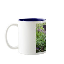 Spicebush Swallowtail Butterfly mugs by TagGal Spicebush Swallowtail Butterfly mugs