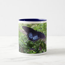 Spicebush Swallowtail Butterfly mugs