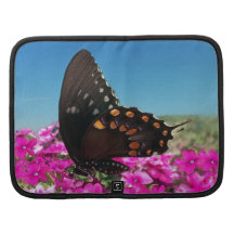 Spicebush Swallowtail Butterfly Organizer