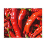 Spicy! Postcard