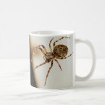Spider 01 mugs