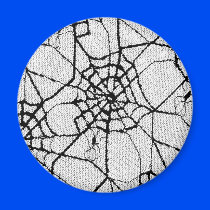 spider 1