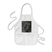 Spider #2 aprons