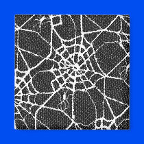 spider 2