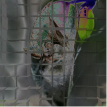 Spider #2 photo sculptures