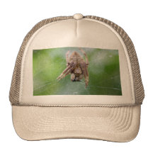 Spider #3 hat
