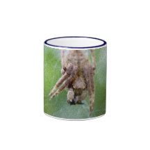 Spider #3 mugs