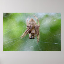 Spider #3 poster