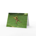 Spider 7349 cards