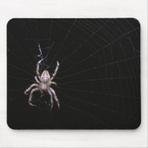 Spider 98 ~ mousepad
