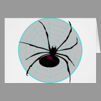 Spider and Web cards