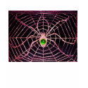 SPIDER AND WEB Green Emerald Black t-shirts
