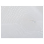 Spider and web letterhead design
