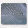 Spider and web mouse pad