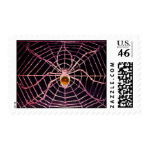 SPIDER AND WEB Orange Agate Black Stamps