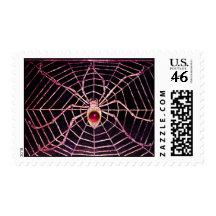 SPIDER AND WEB Pink Fuchsia Ruby Black Stamps