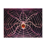 SPIDER AND WEB Red Ruby Black Post Card