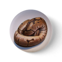 Spider Ball Python Button by digitalplayhouse Spider Ball Python Button
