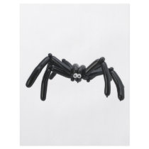 spider balloon flyer