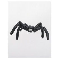 spider balloon letterhead