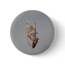 Spider Button 001