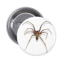 Spider Buttons
