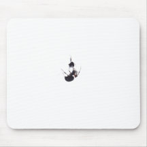 Spider captures a wasp mouse pads